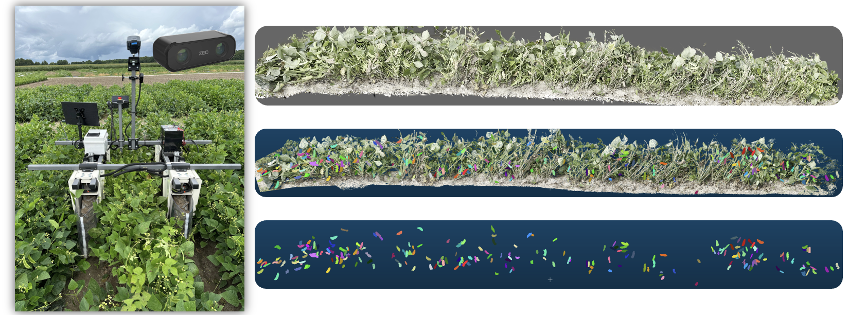 In-Field Pod Counting